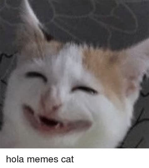 Hola Memes Cat Meme On Meme