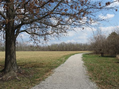 Free Images Landscape Tree Nature Path Grass Outdoor Trail