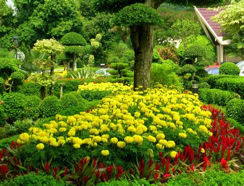 Most Beautiful Summer Scenery Perfect Summer Blooms