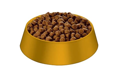Dry Dog Food Png Free Download Png All Png All