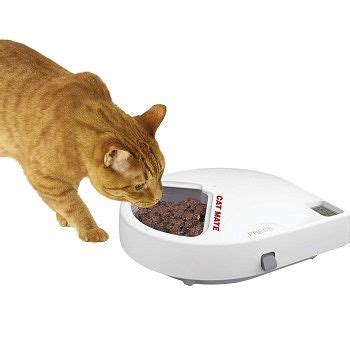 It is a recommendation for pet keepers to buy smartphone compatible feeders so that you can feed your cat or dog on the. Best 5 Automatic Cat Feeders For Wet Foods In 2020 Reviews