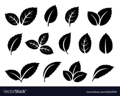 Black And White Photos Of Leaves
