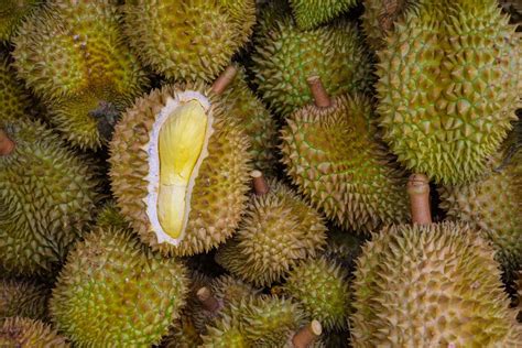 Rare and sometimes even weird tropical fruits, with unusual and unique shapes and flavors. 10 Weird Fruits and Vegetables From Around the World | Best Health Magazine Canada