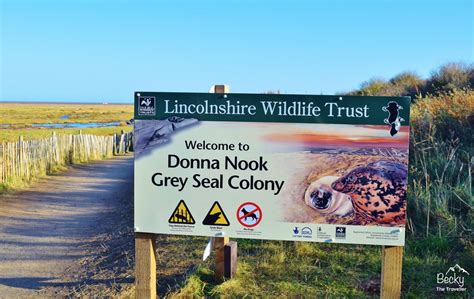 Donna Nook Nature Reserve Lincolnshire Becky The Traveller Flickr