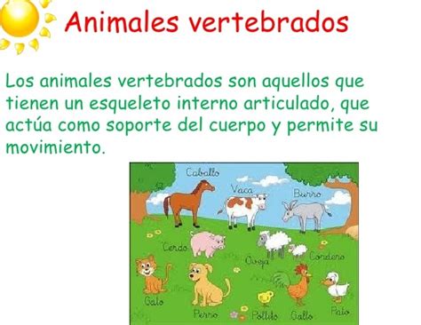 Animales Vertebrados Definición Clasificación Caracterísiticas