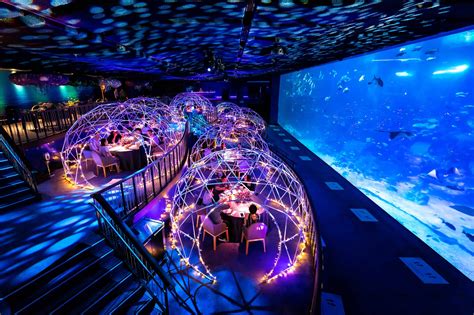 Dining With The Underwater World Epicure Magazine