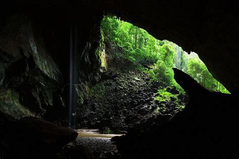 Deer Cave Garden Of Eden Entrance Gunung Mulu National Park Borneo