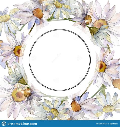 White Daisy Floral Botanical Flower Watercolor Background Illustration