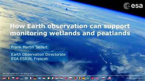 How Earth Observation Can Support Monitoring Wetlands And