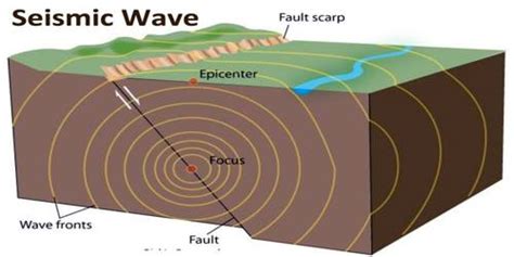 A sudden violent movement of the earth's surface, sometimes causing great damage: Seismic Wave - Assignment Point