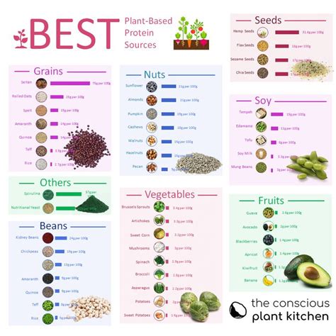 Vegan protein sources chart, provides grams of protein per 100g # ...
