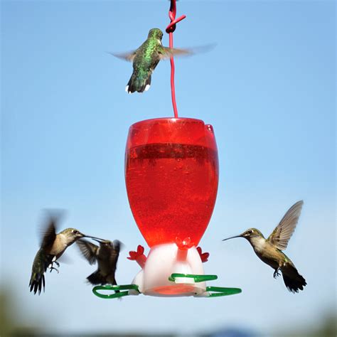 Big Red Hummingbird Feeder Set Of 2