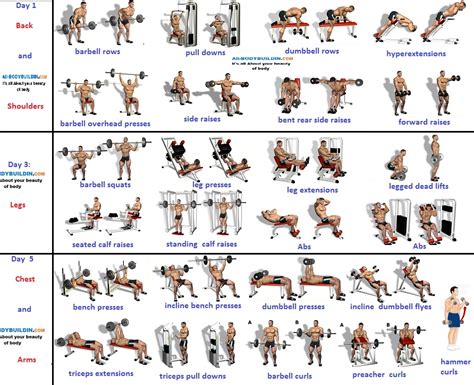 Https://techalive.net/home Design/3 Day Home Workout Plan To Gain Weight