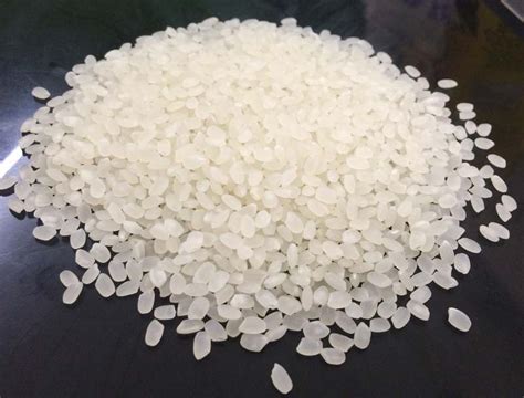 Japonica Rice By Sri Srinivasa Exports Japonica Rice Inr 28inr 33