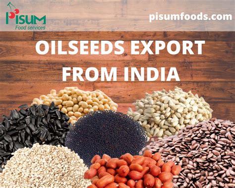 Oilseeds Export From India Different Recipes Food Quality Food