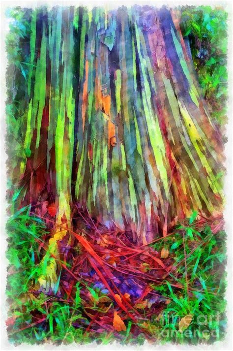 Rainbow Trees Of Maui Hawaii Photograph By Edward Fielding Fine Art