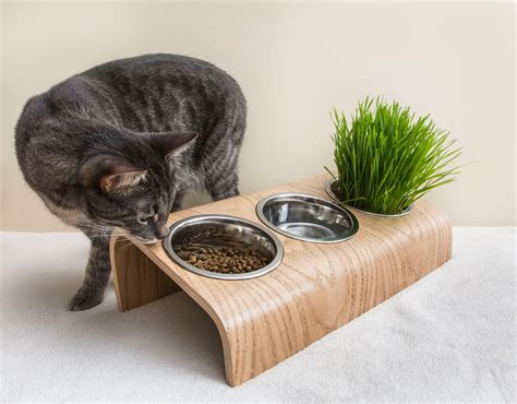 Pet Feeding Station With 3 Bowls Triple Small Dog Feeding Etsy Pet