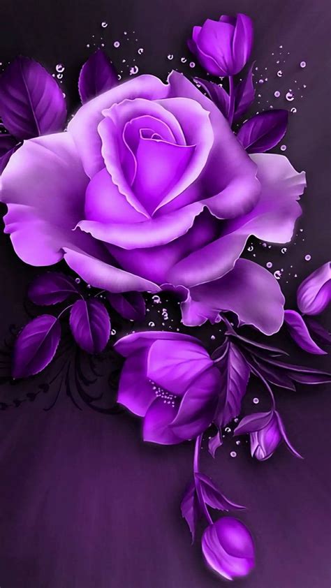 Pin By April Reiber On Purple Purple Roses