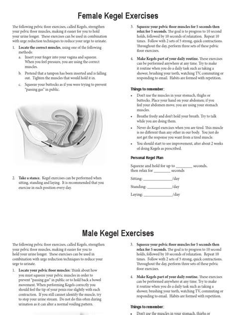 Kegel Excercise Pdf