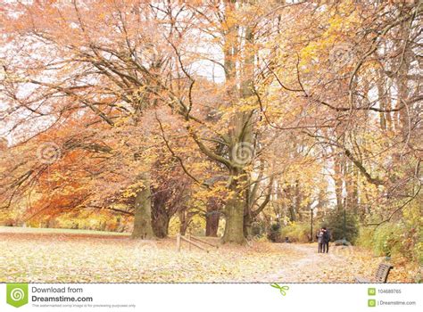 Beautiful Colorful Autumn Park On A Sunny Day Parc Astrid Stock Image