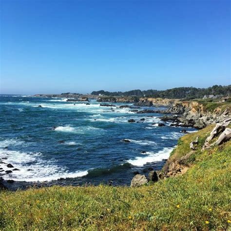 Californias Mendocino County With Kids The Comprehensive Guide