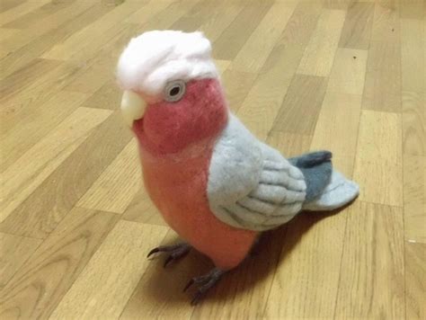 Galar Wool Stuffed Wool Parakeet Parrot Real Size Etsy