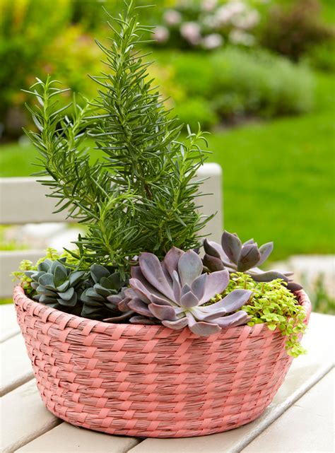 How To Paint And Plant Baskets For Container Gardens Midwest Living
