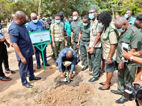 Over 7 Million Trees Planted Under Green Ghana Project