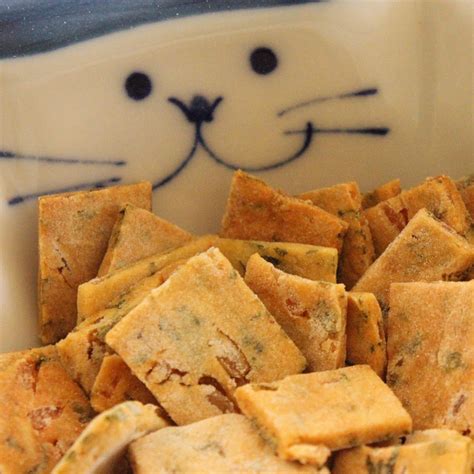 55 Best Images How To Make Cat Treats 12 Homemade Cat Treats And Toys Your Kitten Will Love