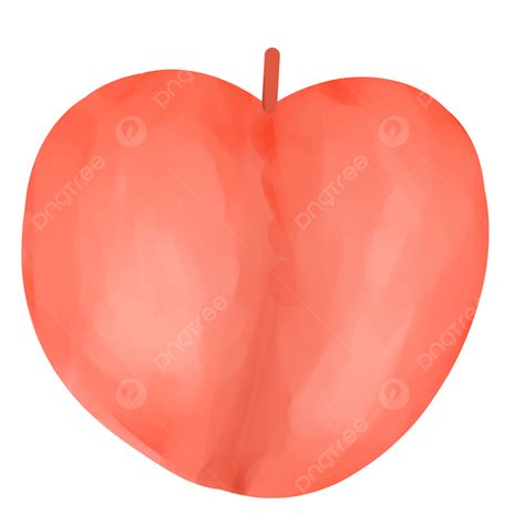 Peache Hd Transparent Peach Png Buah Persik Peach Ilustration