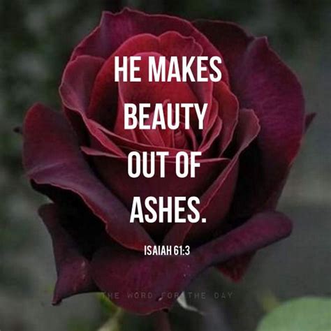 A pink rose represents grace, gratitude, and affection while purple roses have been used to symbolize a rose tattoo design may be done in dark art illustrative style or it may be only a detail, rather than the full picture. What Does A Red Rose Symbolize In The Bible