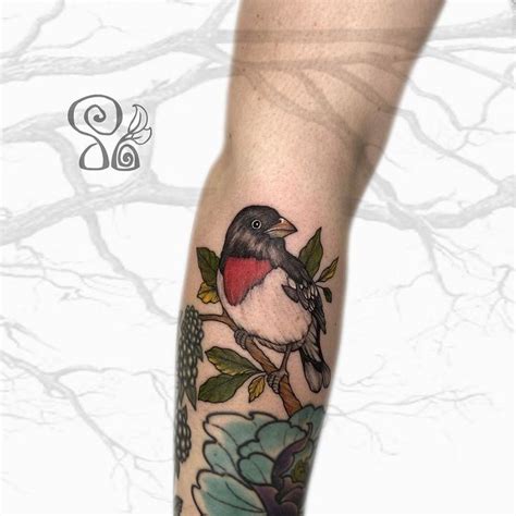 Devon Okeefe On Instagram “rose Breasted Grosbeak Rosey Breast