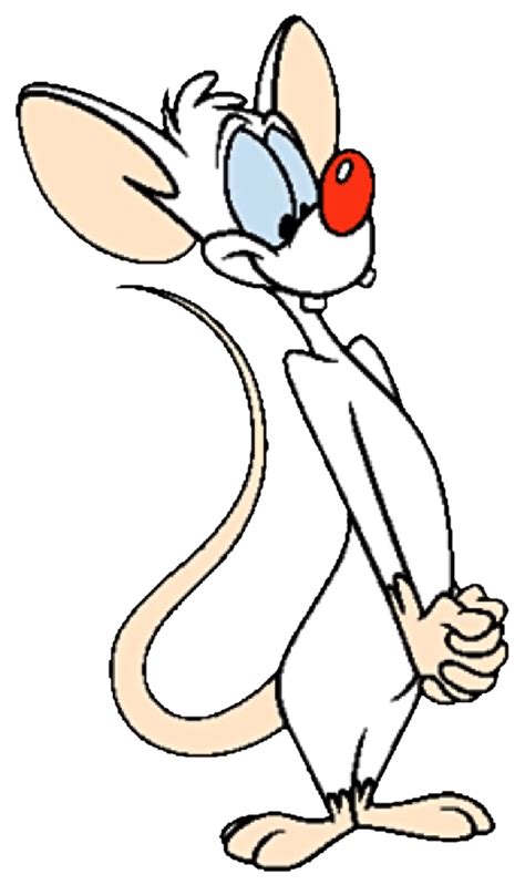 Pinky And The Brain Png Png Image Collection