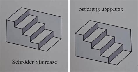Perplexing D Schr Der Staircase Optical Illusion Earned Best Illusion