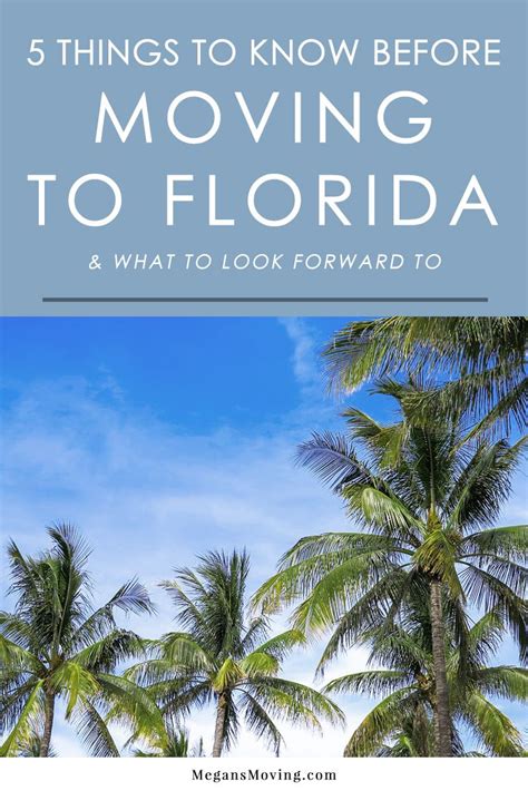 Discover The Beauty And Benefits Of Moving To Florida