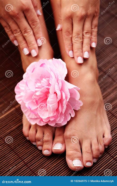 Beautiful Feet And Hands Stock Image Image Of Pedicure 10266975