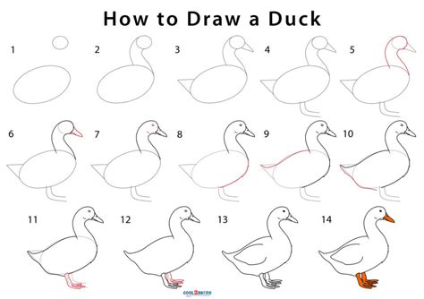Complete the opening of the mouth by using the horizontal line as a guide. How to Draw a Duck (Step by Pictures)