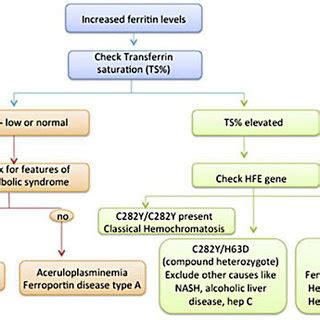 Algorithm For Patients With Elevated Ferritin And Suspected Iron