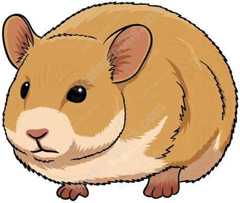 Cute Brown Hamster Drawing Free Image Download