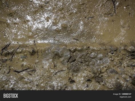 Texture Mud Wet Dirt Image And Photo Free Trial Bigstock