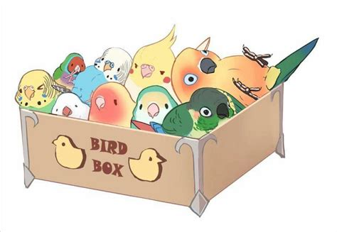 Pin by はる on Bird Illustrations and crafts Pet birds Cute drawings