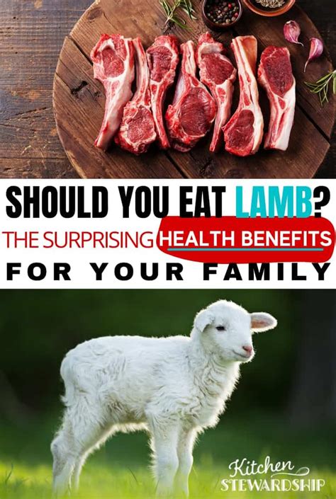 Is Lamb Healthy Health Benefits Of Eating Lamb LaptrinhX News