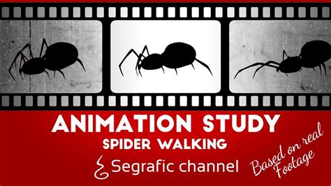 Spider Walk Walk Cycle Animation Study Insect Locomotion Youtube