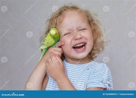 Laughing Curly Hair Child With Budgierigar At Home Stock Image Image