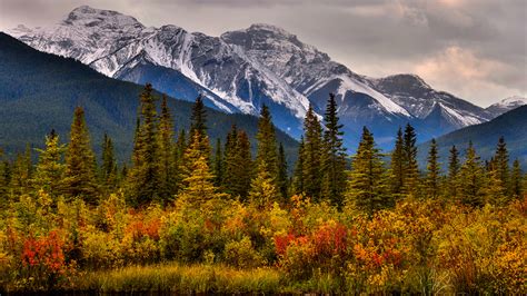 Wallpaper Banff Canada Spruce Autumn Nature Mountain Parks 1920x1080