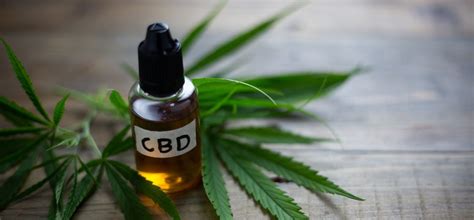 Cannabidiol Cbd A Brief Overview Behind The Rising Trend In Cbd