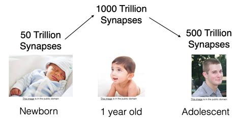 Accelerating Inference Neural Network Pruning Explained Laptrinhx News