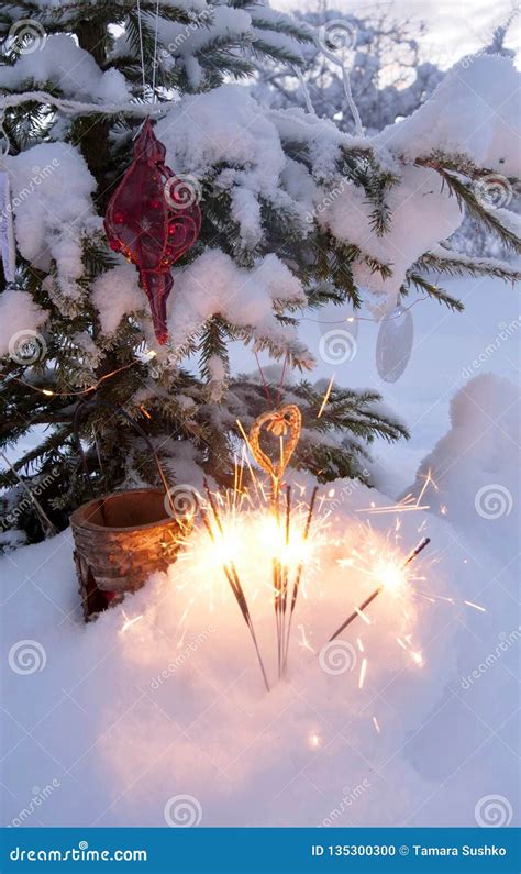 Christmas Tree Great Outdoor Stock Photo Image Of Country Copy