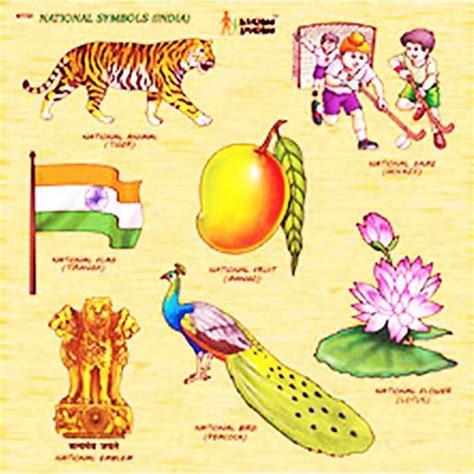 National Symbols Of India Names