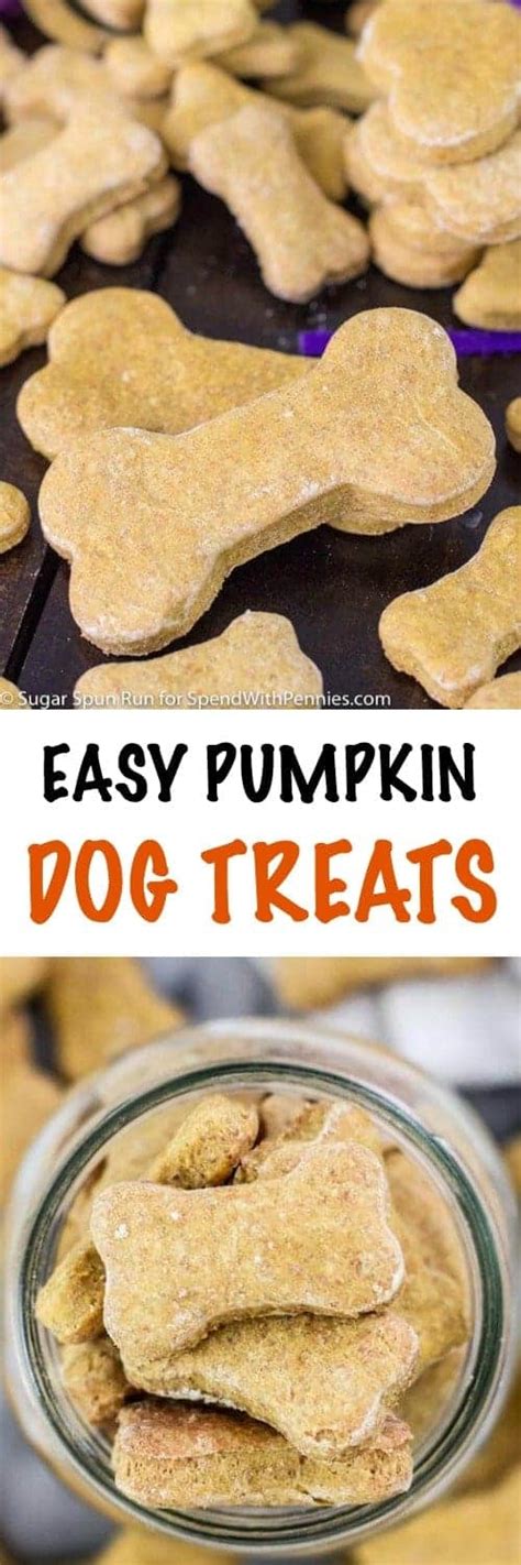 This rice and green bean dog food is easy on the stomach; Pumpkin Dog Treat Recipe - Spend With Pennies